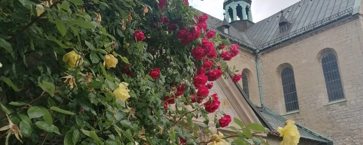 Klostertage auf der Huysburg